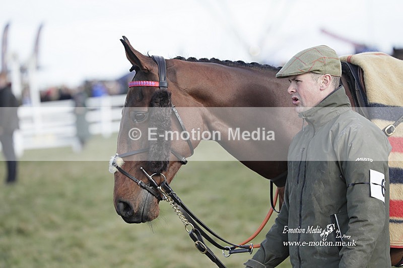 PtP 260223 885 - South & West Wilts Point-to-Point Larkhill 26/02/23