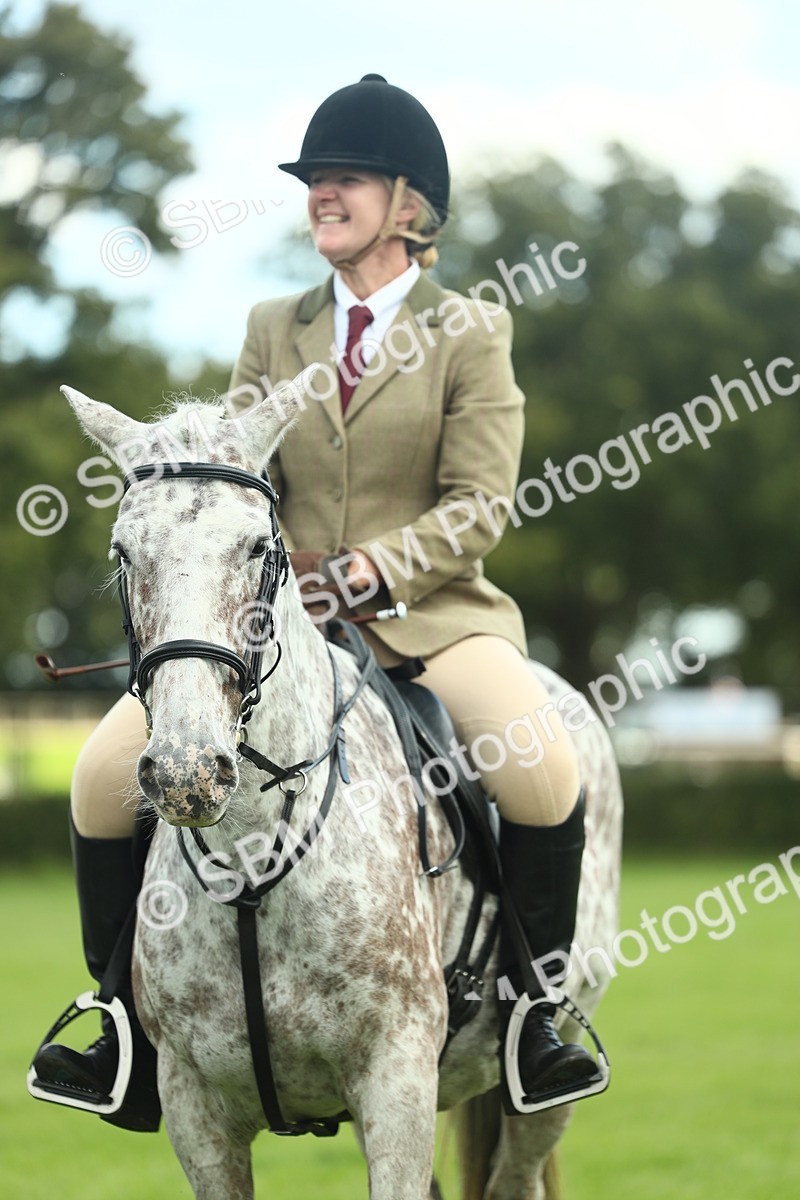 SBM_42163 - S29 - Novice & Newcomers Working Hunter Pony