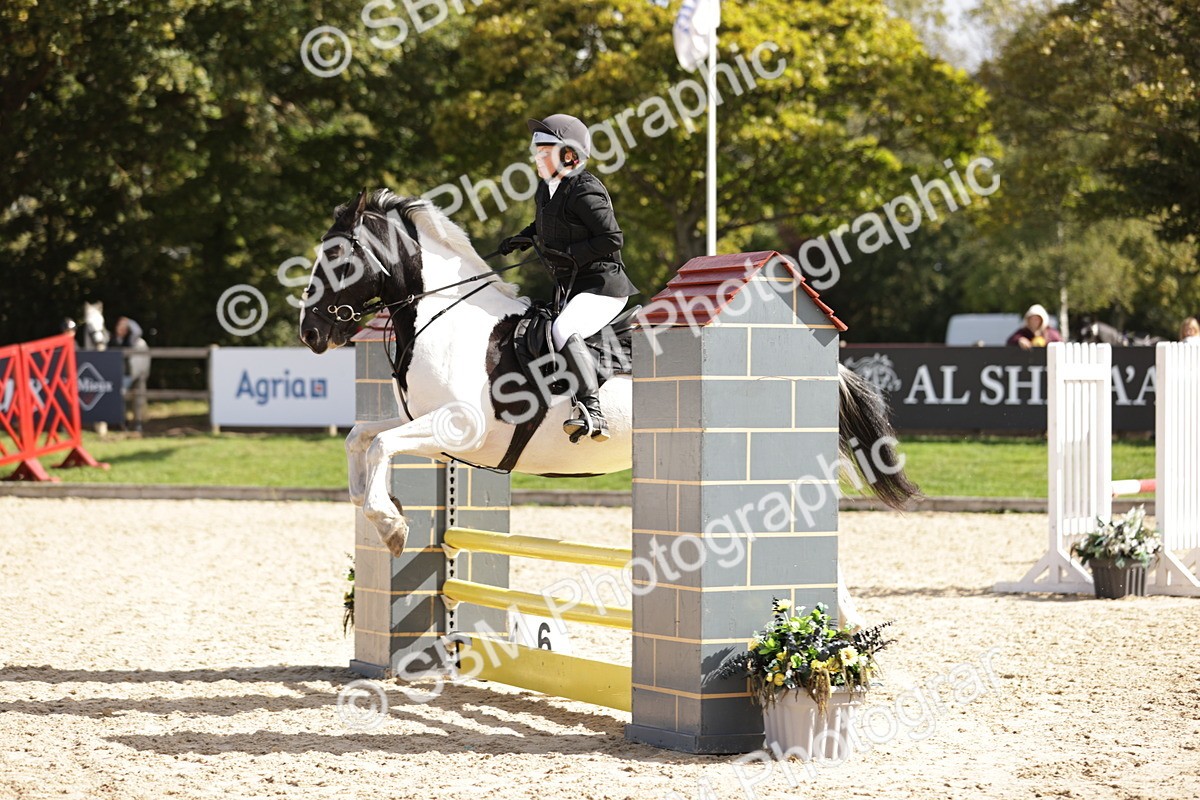 SBM_18483 - Supreme Championship