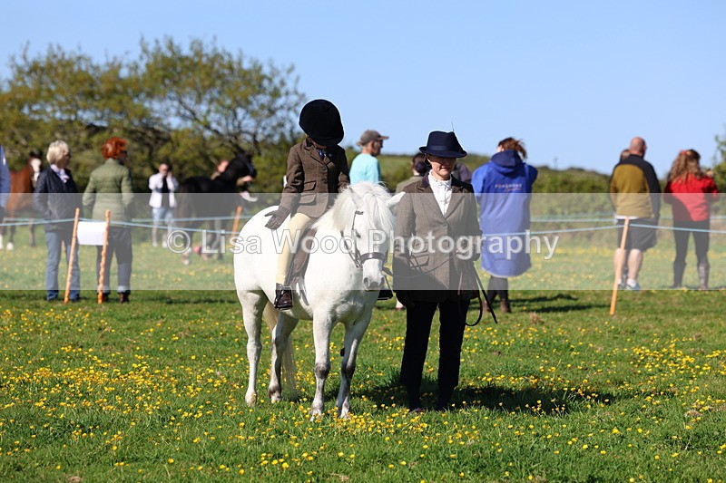 3E7A8834 - Class 2: Lead rein