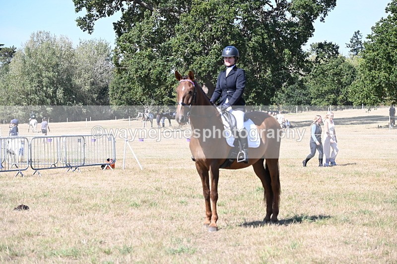 WJ6_8991 - Class 38 Ridden Riding Horse/Pony