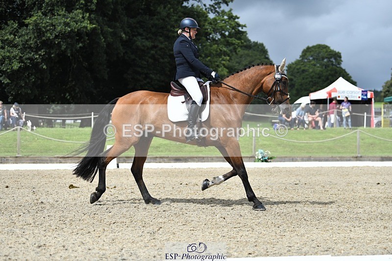 230812-114718-03700 - Cls 6 Novice Silver 10.30 to 11.55 break