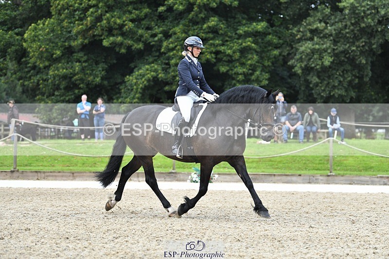 230812-105252-03489 - Cls 6 Novice Silver 10.30 to 11.55 break