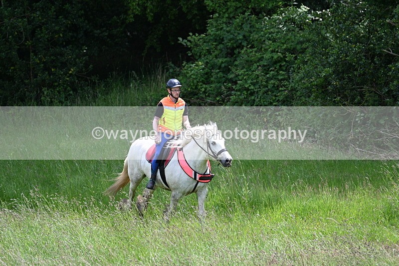 WJ7_8761 - Group 4 11am