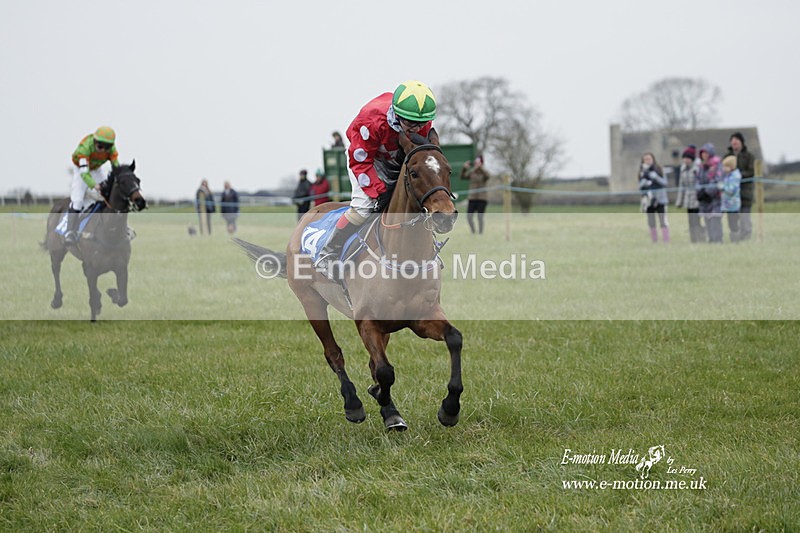 PtP 040323 48 - Duke of Beauforts Hunt Point-to-Point Didmarton 04/03/23