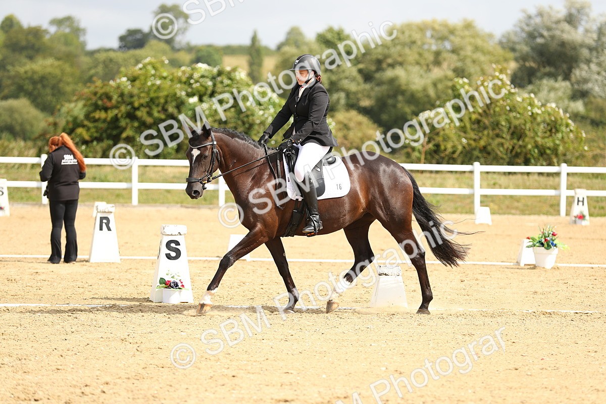 SBM_016277 - Class 13 - Novice 23 - 11.25-12.35