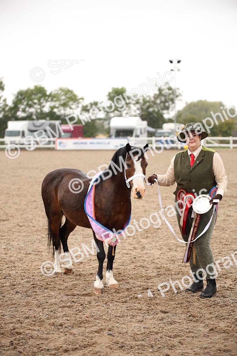 SBM_20259 - Class 704 - IH Rescue