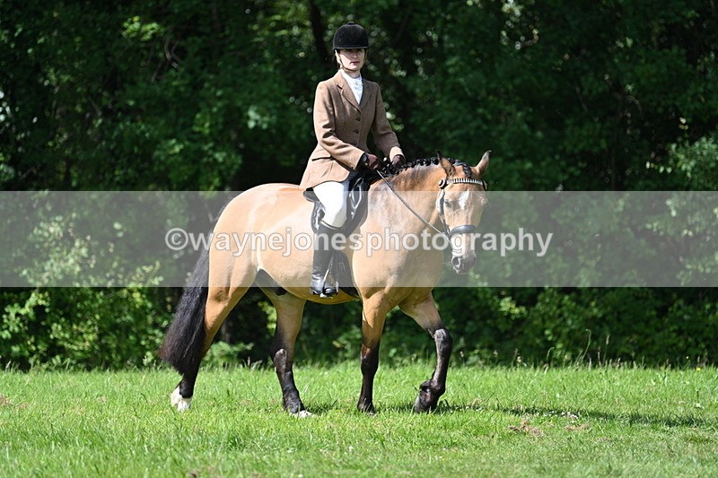 WJ7_1002 - Class 11 Condition & Turnout