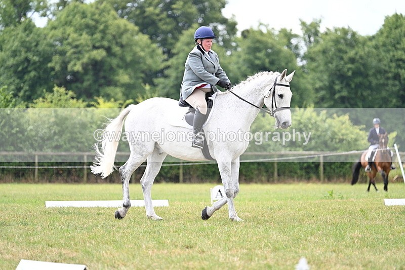 WJ7_5017 - Time 11:22 to 11:51