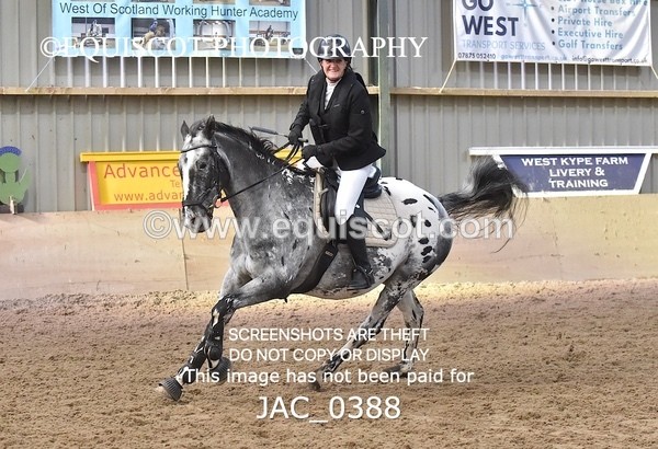 JAC_0388 - CLASS 8 Open Show Jumping - (0.90m)
