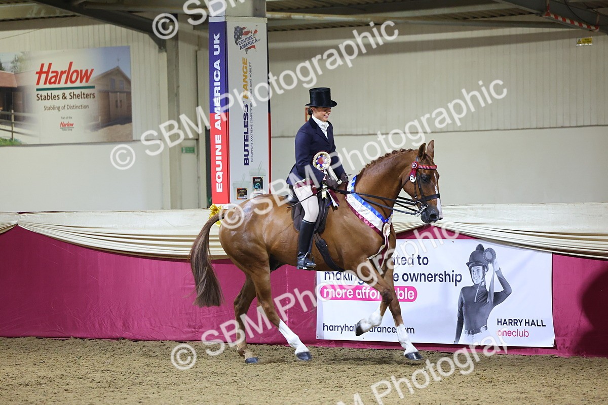 0B8A4496 - Class O Ridden Show Horse Champ