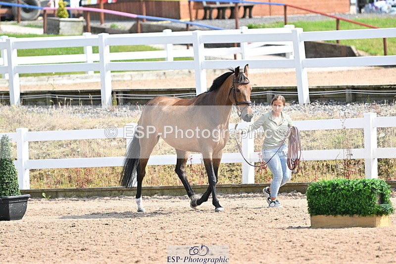 240717A-154922-03070 - Trot Up 3pm to 4pm