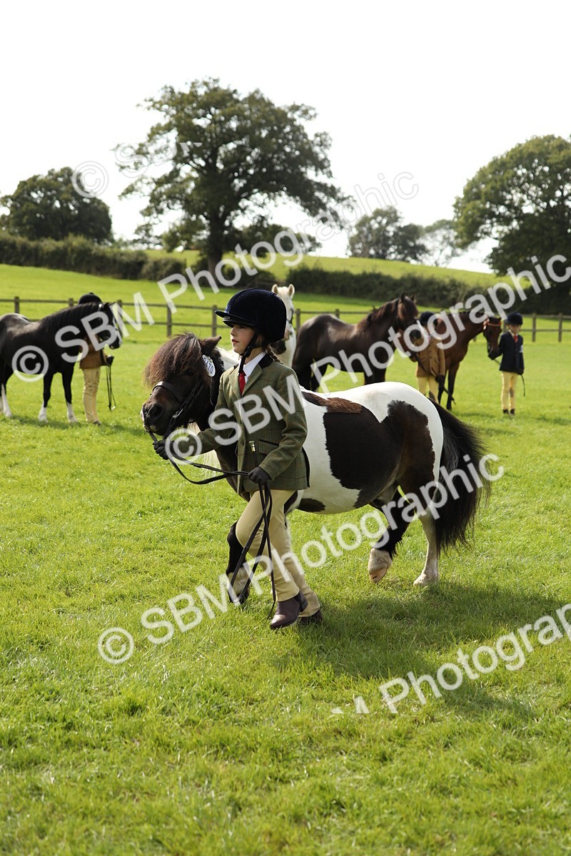 SBM_67752 - S39 - Junior Handler 8  Years & Under