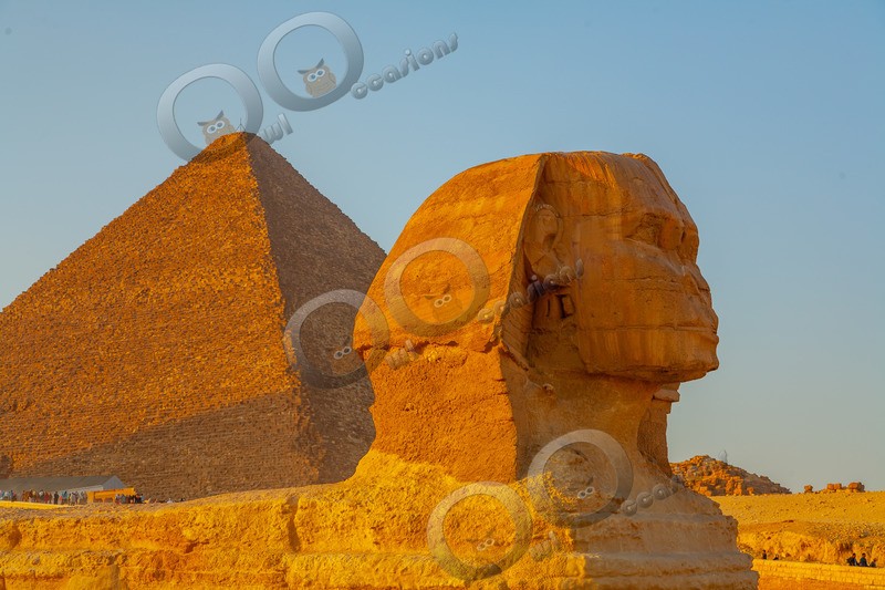 Sphinx Giza Plateau 0053 - World images
