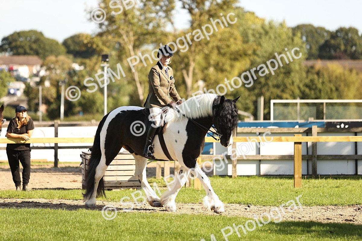SBM_16928 - S2 - TSR Ridden Pony Showing