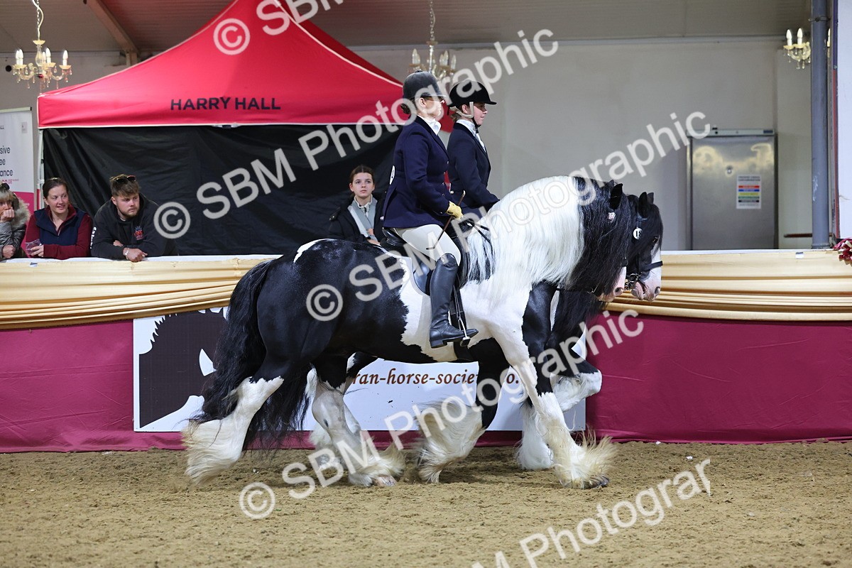 0B8A4352 - Class M Ridden Pairs Champ