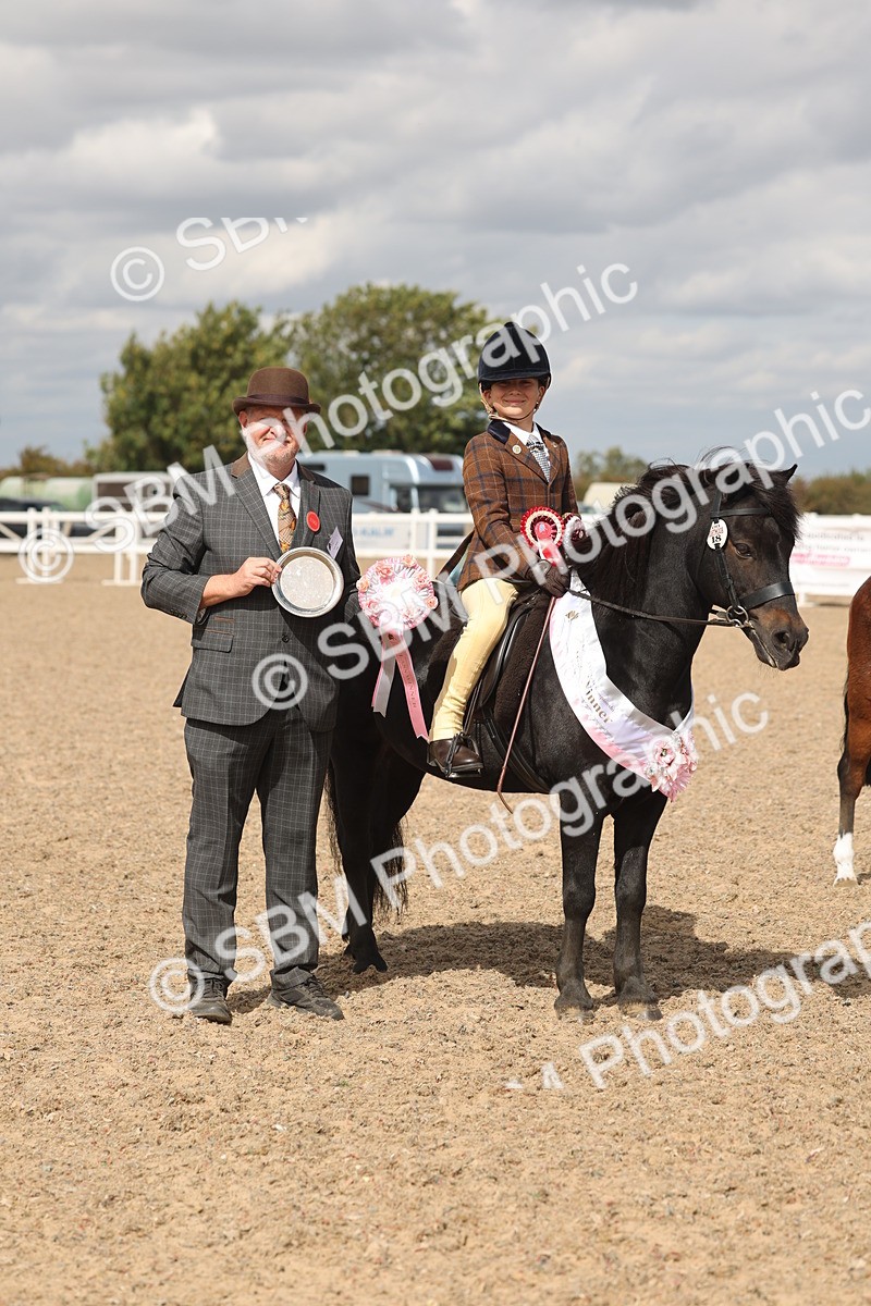 SBM_15911 - Class 310 - First Ridden Pony