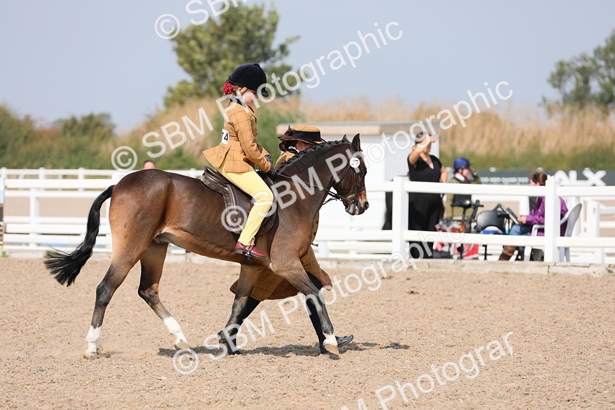 SBM_14038 - Class 309 Lead Rein Pony