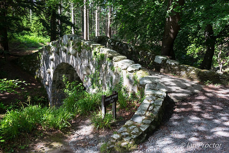 Foley's Bridge - Tollymore Forest Park, County Down. - County Down