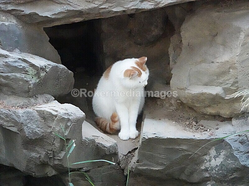 CHINA__1299 - China 2019