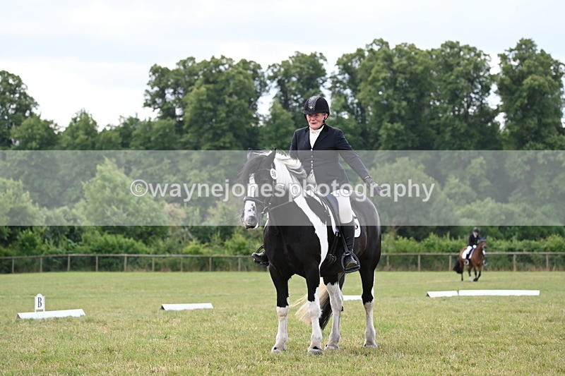 WJ6_6671 - Time 10:30 to 11:16