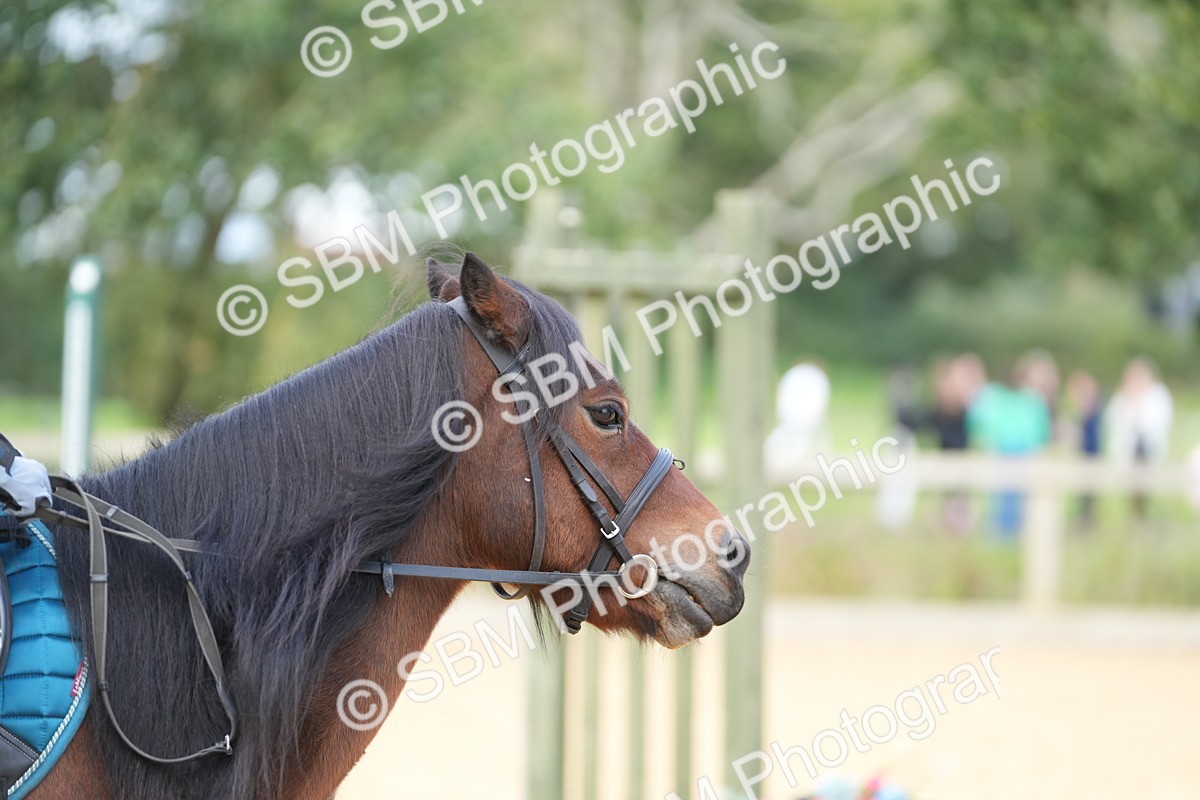 SBM_64327 - J2 - Mini Tour Junior Pony 30cm Championship