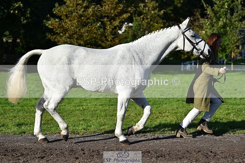 231022-103416-22570 - 457-KILLOUGHTER.GOLD.DUST-Olivia.McDonald-TrotUp+SJ