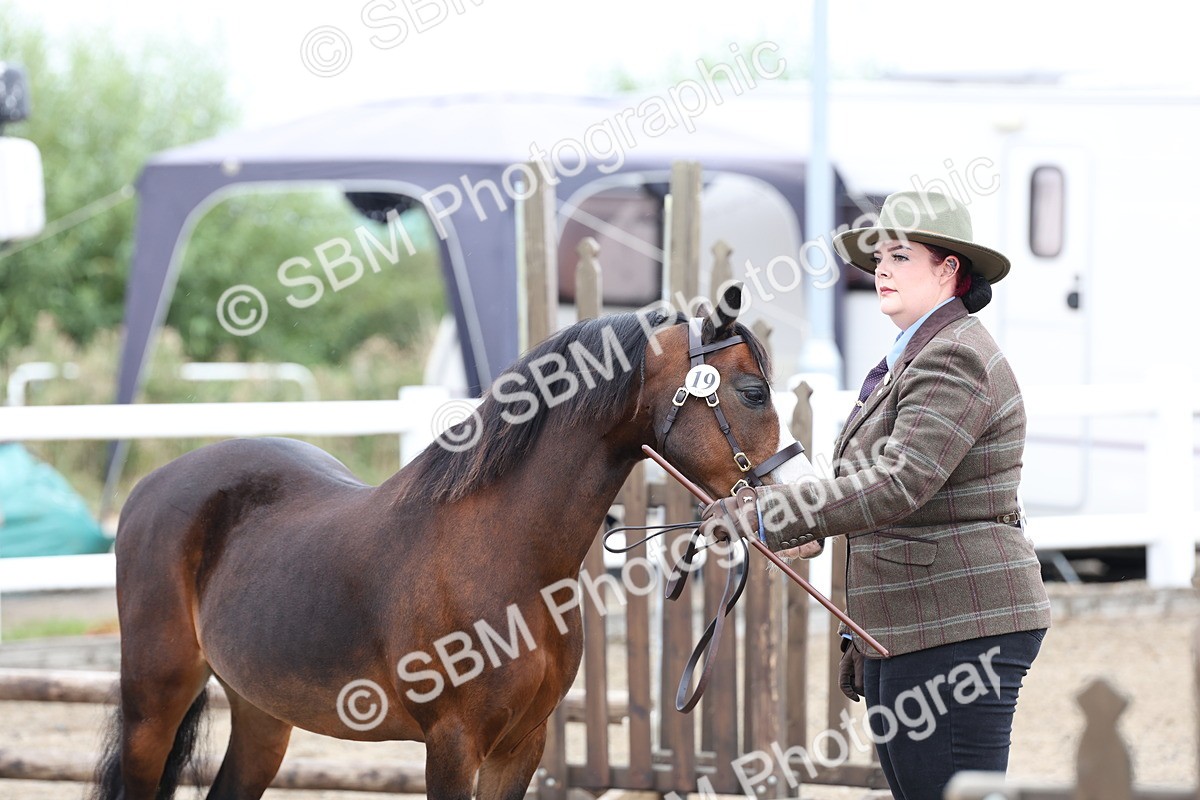 SBM_00055 - Class 50 - Best Turned Out IH