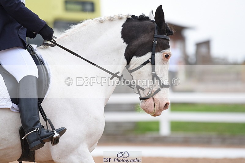 230708A-111022-01520 - Prelim 7