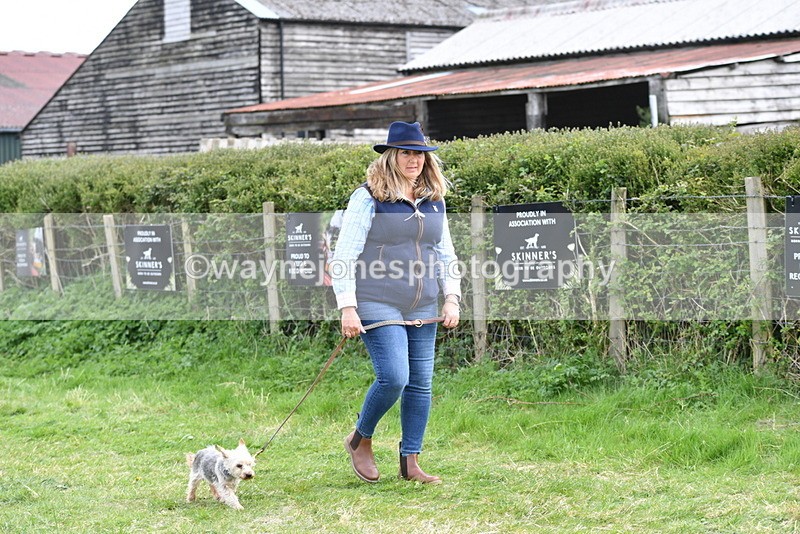 WJ5_9942 - Class 5 Best Veteran / 7 years & over