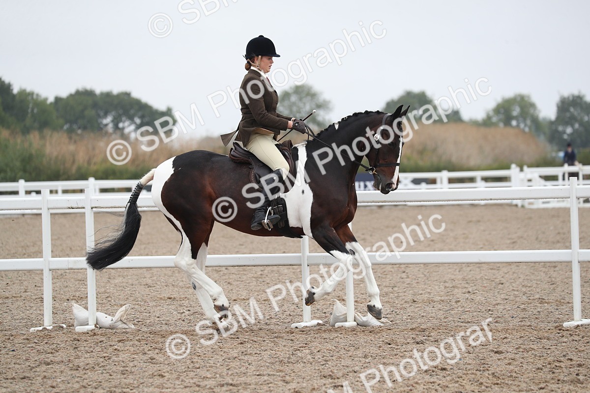 SBM_21965 - Class 603 - 2025 Area Ridden Pre Vet
