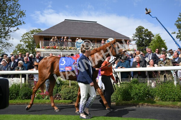 yr18082021r3-4 - Race 3 3.00pm Sky Bet Great Voltigeur Stakes
