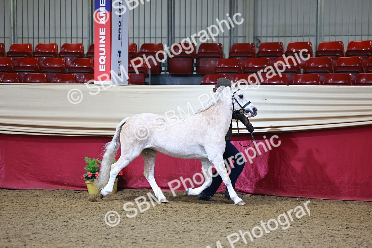 SBM_21629 - Class 901 - Supreme Final - IH  Diamond