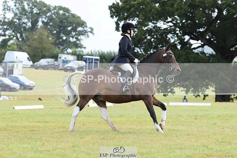 240824X-110619-26842 - D70 Section C and D 9.30 to 11.00