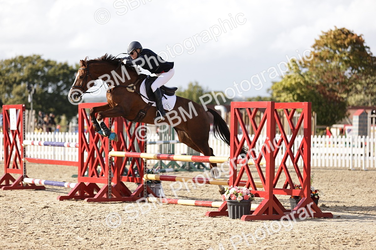 SBM_28395_J46 - Accumulator 80 90cm - Selina Westcott