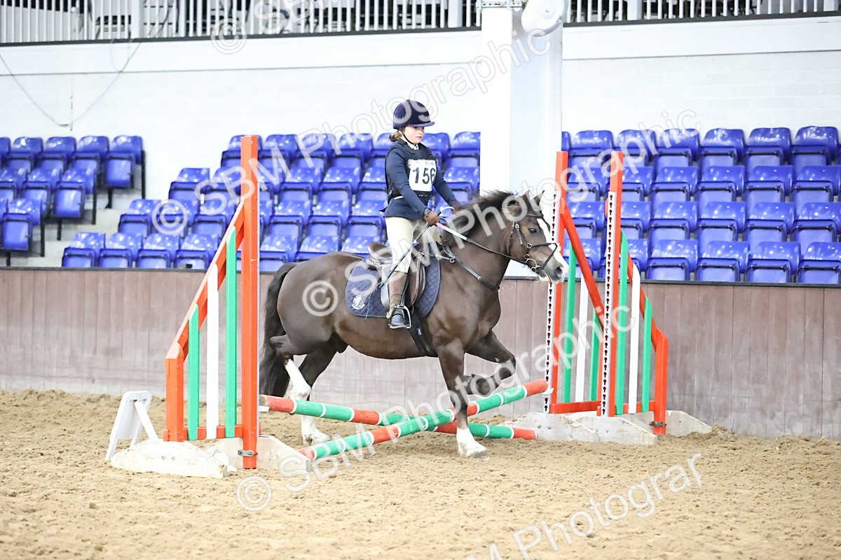 SBM_000237 - Class 2 - The Rug Lady 40cm Area 12 Championship Qualifier