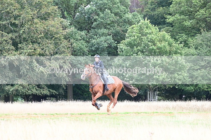 DSC_7790 - Time at Statue 13:16 to 13:52