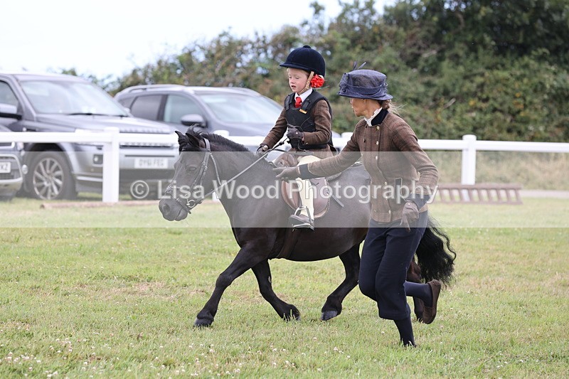 JPP_1733 - Class 18: Tiny Tots Working Hunter Pony