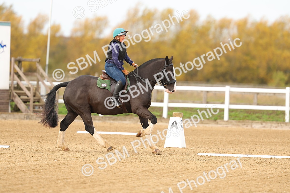 SBM_001017 - Class 13-4-9 - DR P3 CT P3 70cm CT PYO