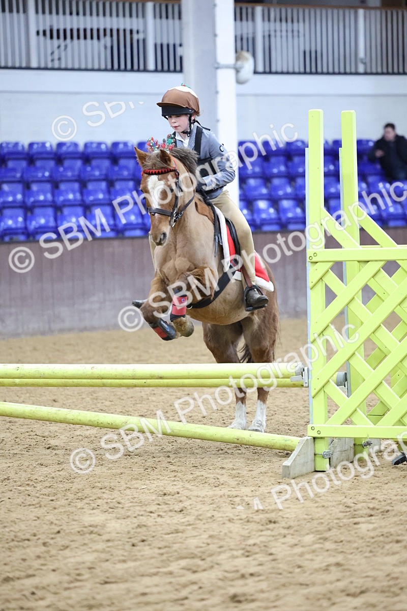 SBM_001092 - Class 3 - Christmas Tree Stakes - 60cm