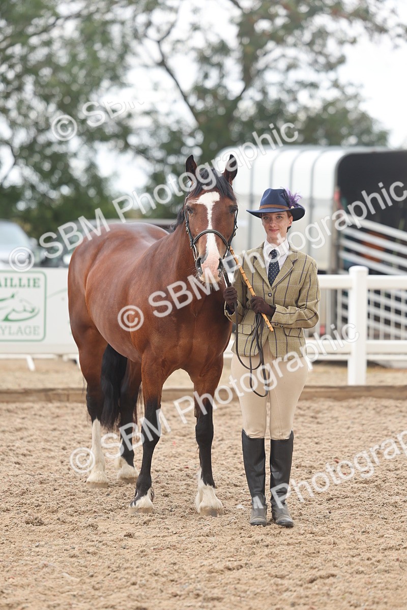 SBM_03244 - Class 16 - IH M&M Wildcard