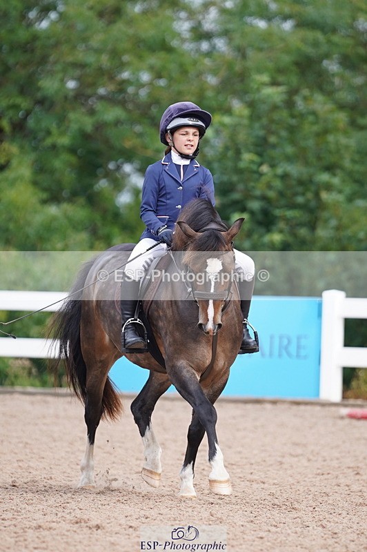 240809A-100004-00390 - Dressage Competition