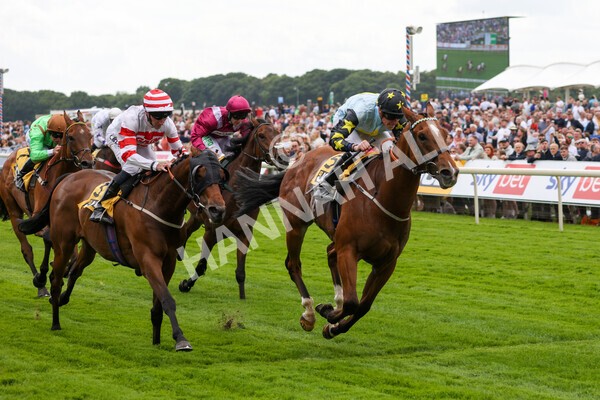yr11062022r3-31 - Race 3 2.35pm The JCB Stakes