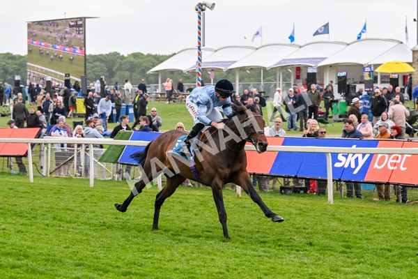 150525-Merchant-5330 - Race 7 5.25pm Haxby Handicap