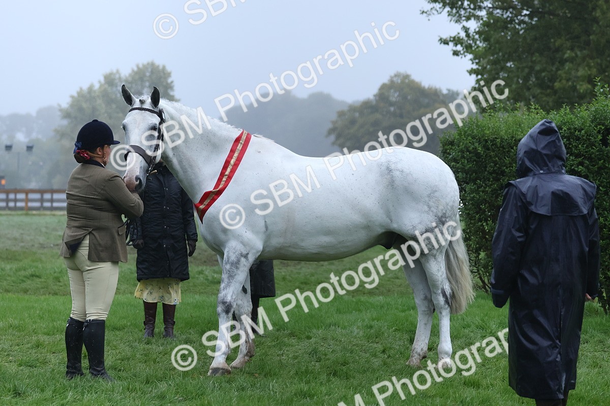 SBM_73239 - Super Supreme Championship(Sun)