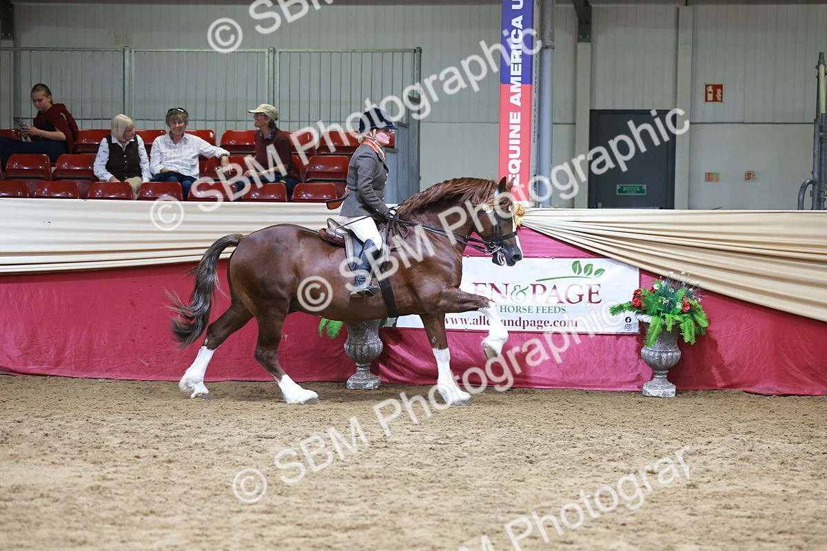 SBM_18732 - Class 952 - M&M Ridden Supreme Final