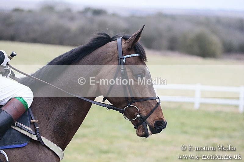 PtP 180218 484 - Combined Services Point-to-Point Larkhill 18/02/18