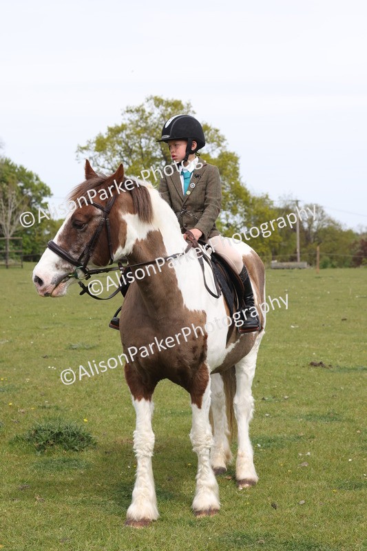20260426-4387 - Class 34 - Best Riding Horse Over 14.2hh