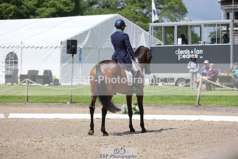 240523-130356-02518 - 301-CAMOUFLAGE-Alexander_Bragg