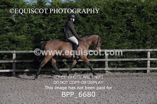 BPP_6680 - RING 1  (RIDDEN HORSES / IN HAND / VETERAN ETC)
